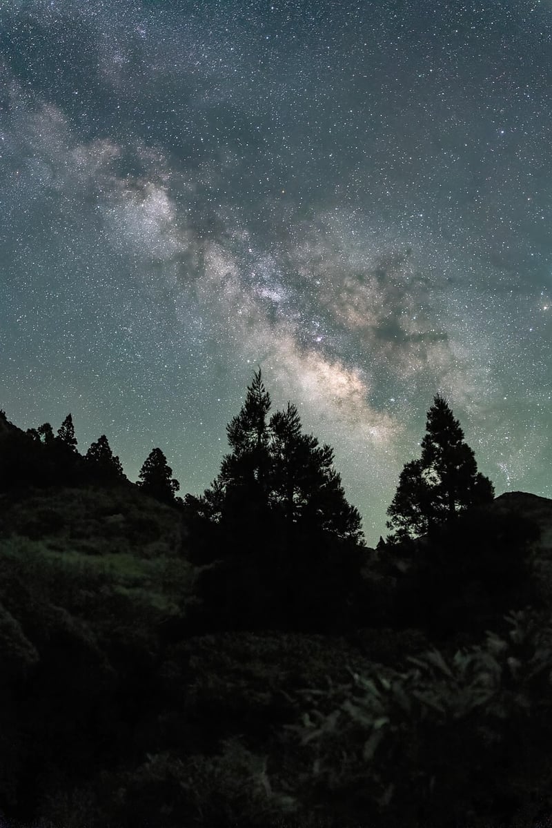 Stargazing in the Desert